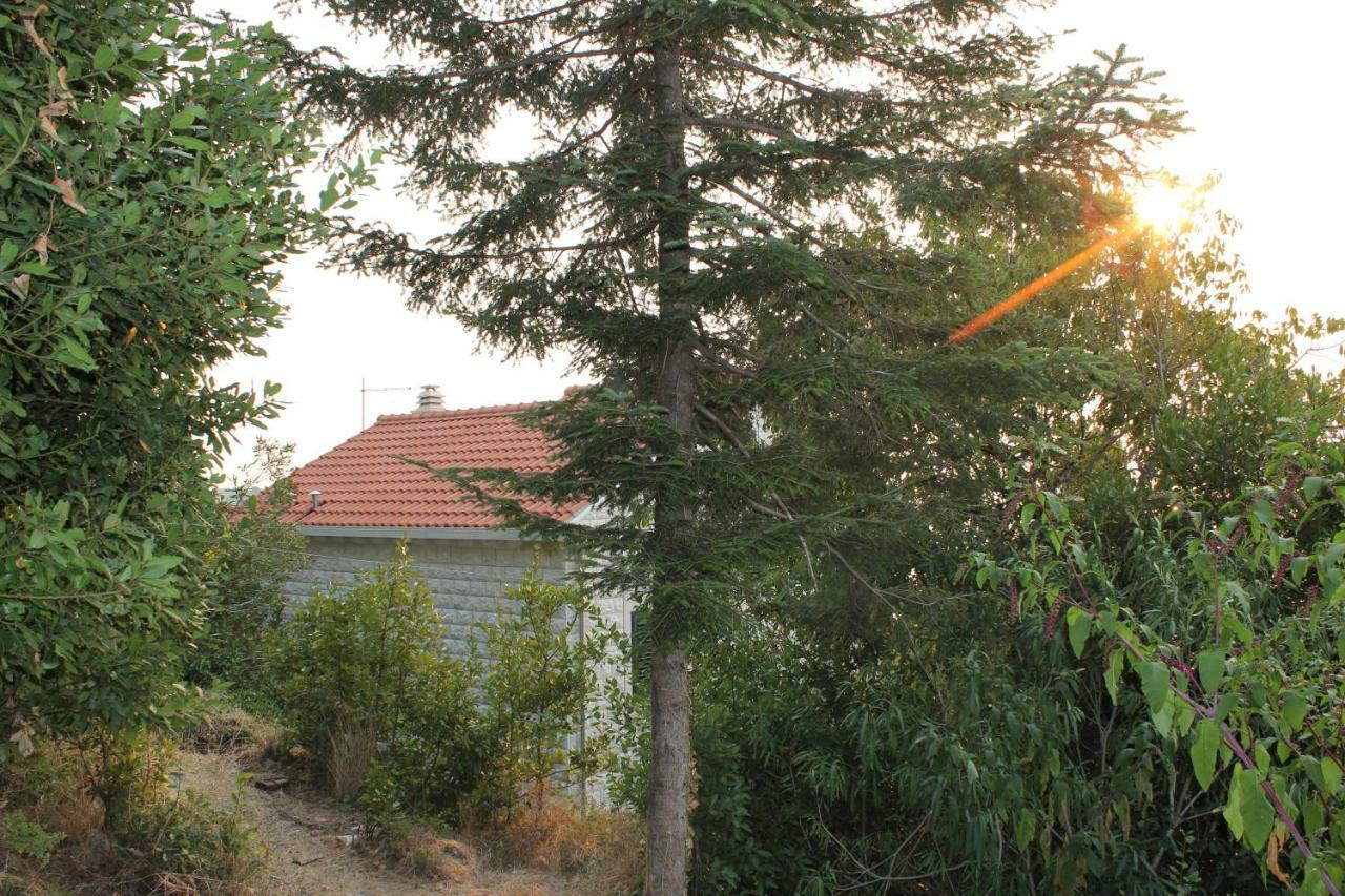 I Sassi Bianchi - East Villa Cavtat Extérieur photo